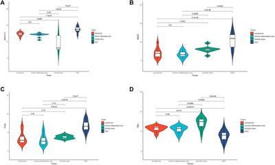 Integrated bioinformatical and in vitro study on drug targets for liver cirrhosis based on unsupervised consensus clustering and immune cell infiltration